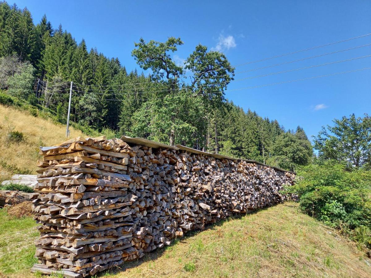 Landhaus Gruenjuwel Himmelberg Εξωτερικό φωτογραφία