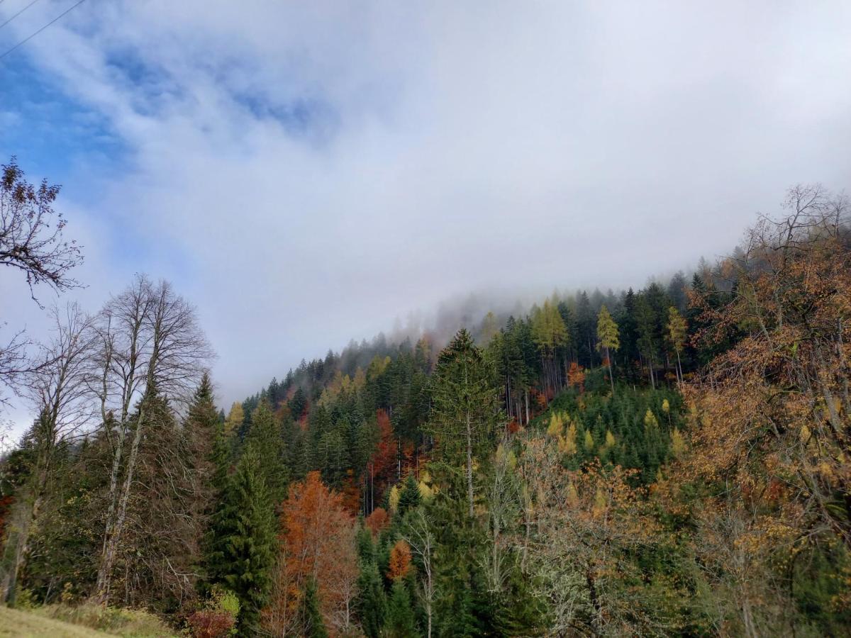 Landhaus Gruenjuwel Himmelberg Εξωτερικό φωτογραφία
