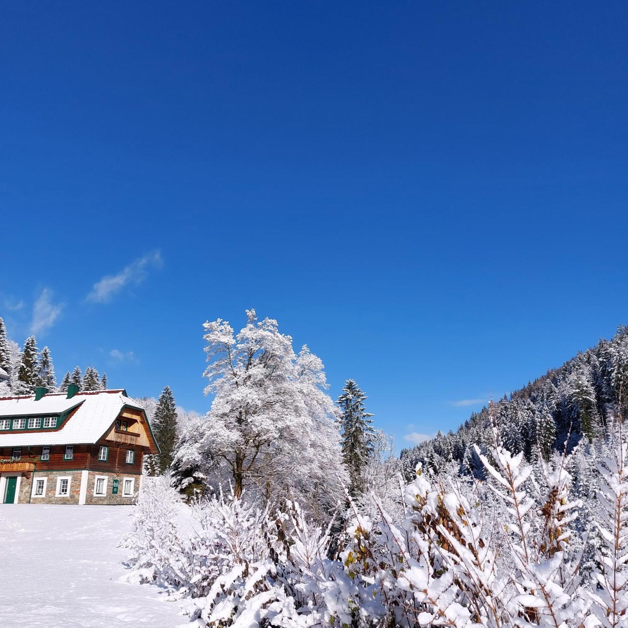 Landhaus Gruenjuwel Himmelberg Εξωτερικό φωτογραφία